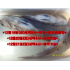 섬네일